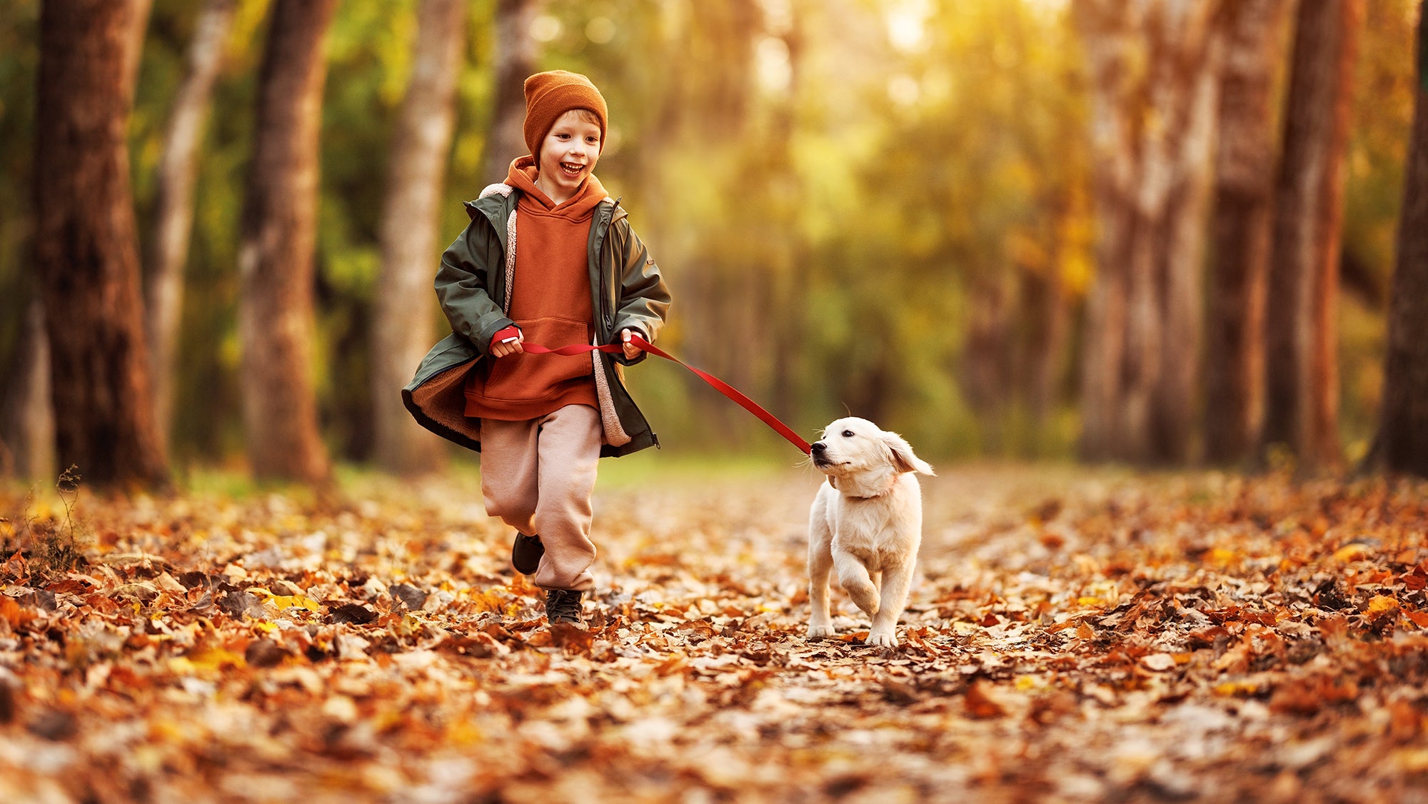 Young boy showng running down a leaf covered path in the forest with his cream colored labrador retriever puppy on his left hand side.  He is very happy and enjoying his environment.  Purra technology is completely safe to the environment, people and pets.